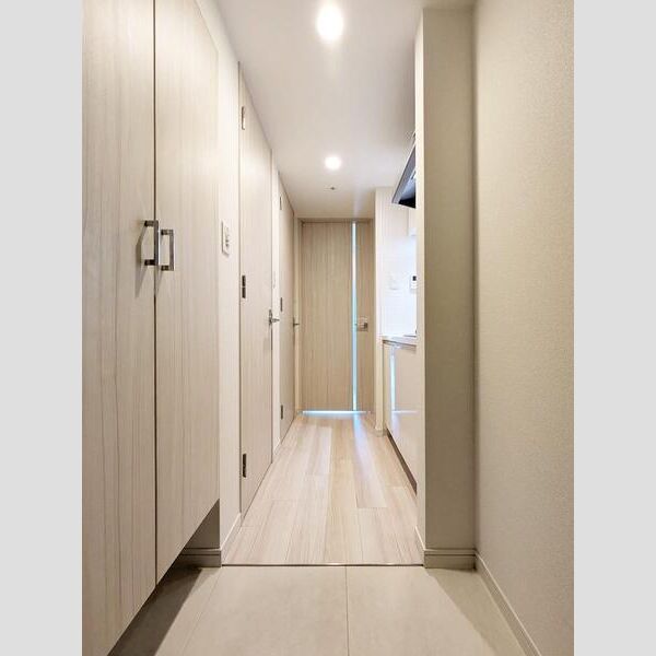 S-RESIDENCE阿波座West 室内写真10