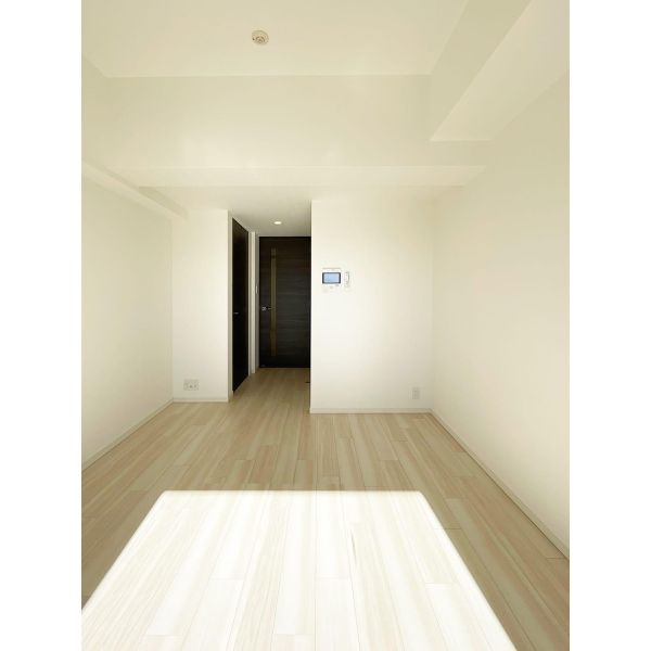 S-RESIDENCE堺市駅前 室内写真4