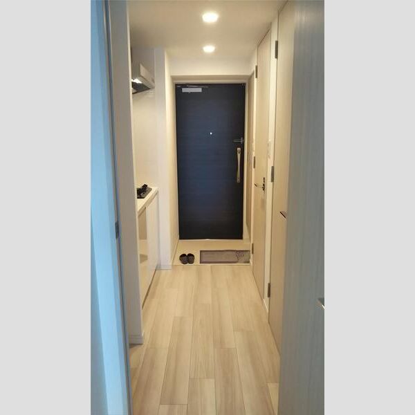 S-RESIDENCE阿波座West 室内写真5
