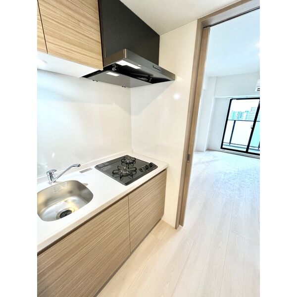 S-RESIDENCE上飯田West 室内写真3