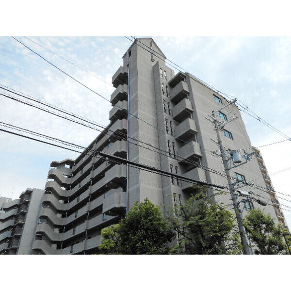 サンオークタツミ