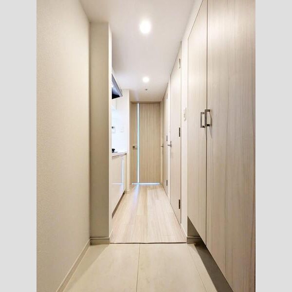 S-RESIDENCE阿波座West 室内写真10