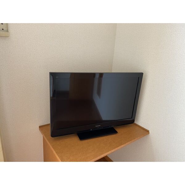レオパレスドリームⅡ 室内写真7