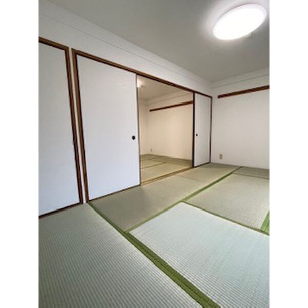 メゾン大和枚岡 室内写真5