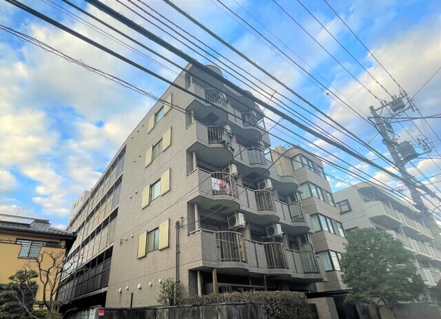タートルフラッツ