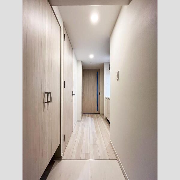 S-RESIDENCE難波大国町Deux 室内写真8