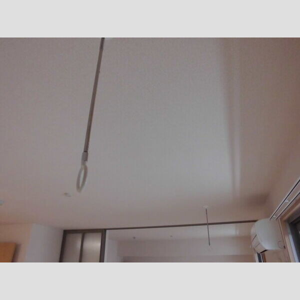 アネシス 壱番館 室内写真3