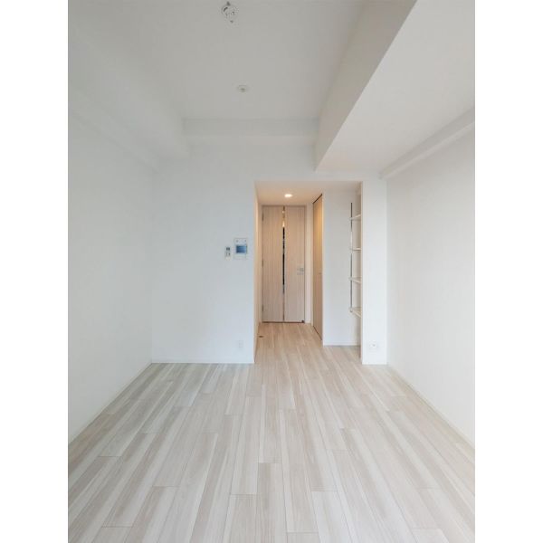 S-RESIDENCE堺筋本町Deux 室内写真3