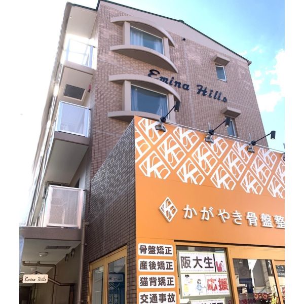 エミーナヒルズ 建物画像