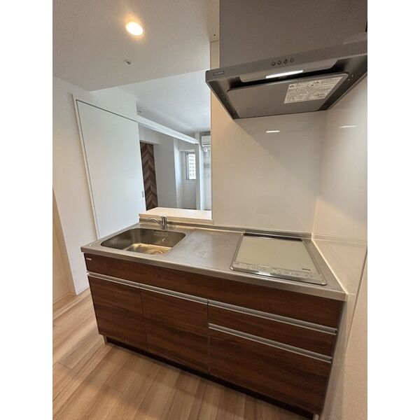 セレニテ本町リアン 室内写真3