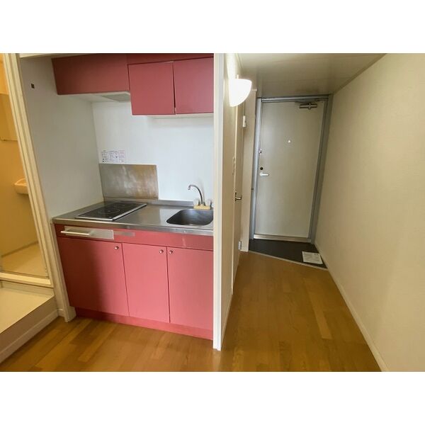レオパレスネッスル小松 室内写真10