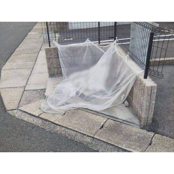 レオネクスト延珠北 室内写真9