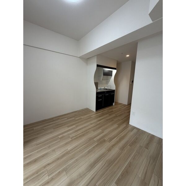 セレニテ本町東リアン 室内写真9