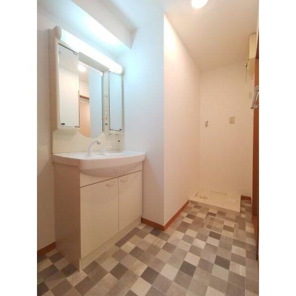 レージュ桔梗平 室内写真4