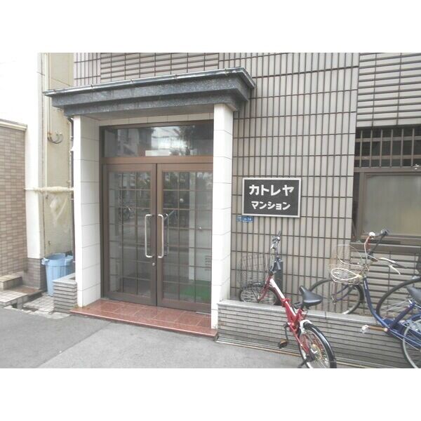 カトレヤ