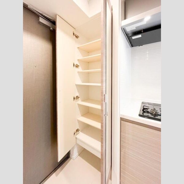 S-RESIDENCE福島玉川Tres 室内写真9