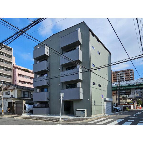 Sugarloaf Park花の木
