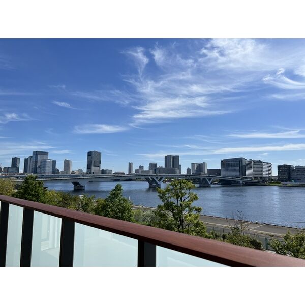 HARUMI FLAG SEA VILLAGE C棟 室内写真7