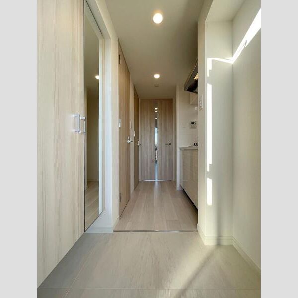 S-RESIDENCE難波大国町Tres 室内写真8