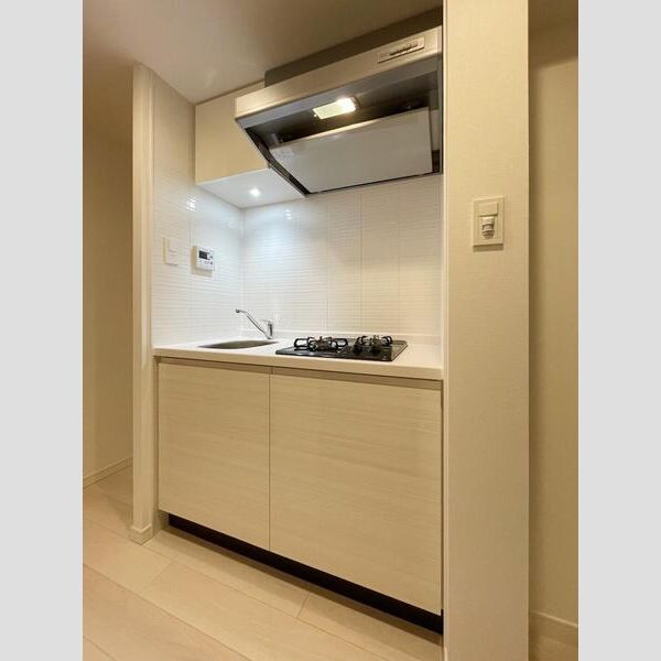 S-RESIDENCE難波大国町Tres 室内写真2