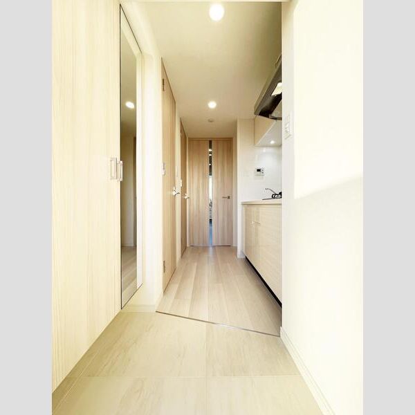 S-RESIDENCE難波大国町Tres 室内写真8