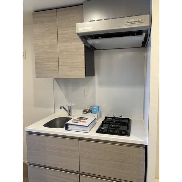 ザ・パークハビオ新栄 室内写真3