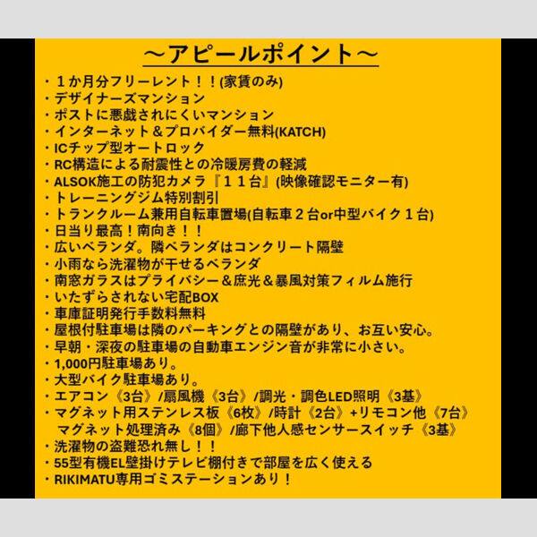 RIKIMATU 室内写真1