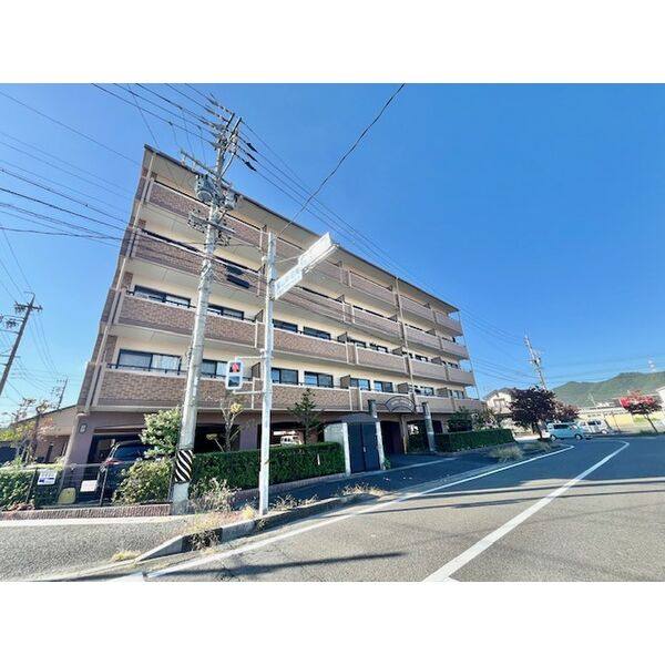 ロイヤルエステートⅢ 建物画像