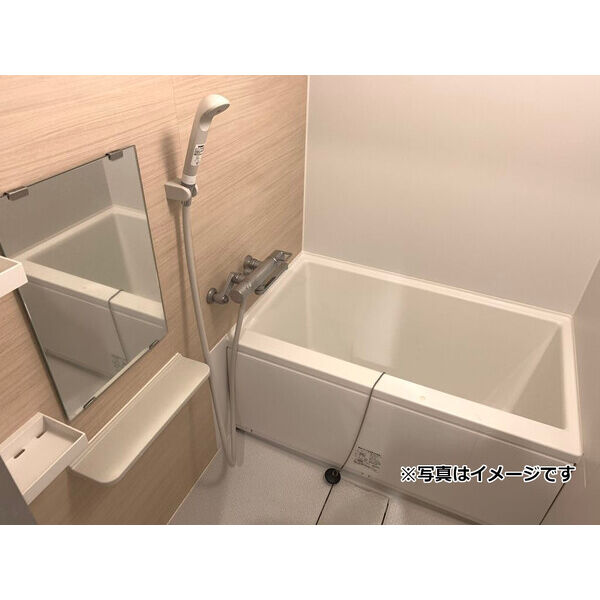 ディアレイシャス南砂町 室内写真4