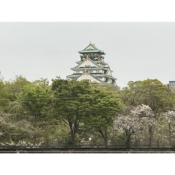 リブウッド大阪城 室内写真10