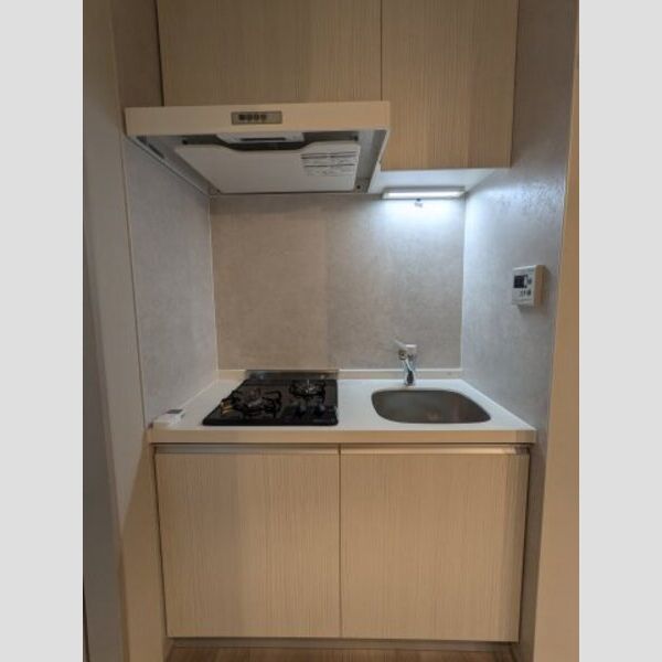 アピチェ田園調布 室内写真3