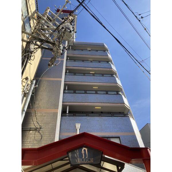 ラッキーキャット 建物画像