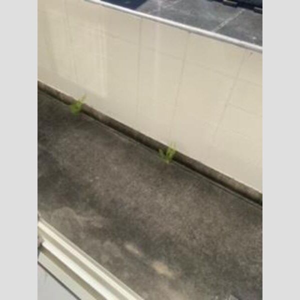 パークサイド和泉中央 室内写真10