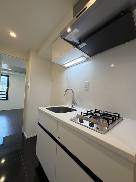 Ｒｅｖｅ Ｒｅｓｉｄｅｎｃｅ 代々木 室内写真2