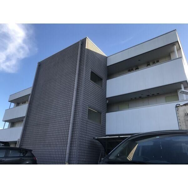 Life Stage