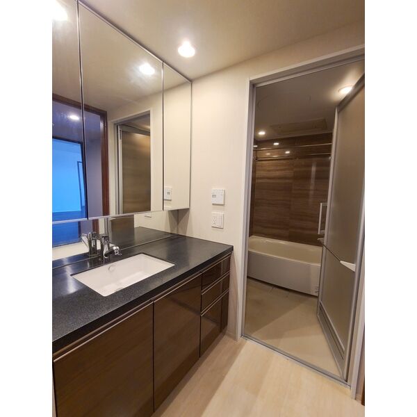 ザ・パークハウス中之島タワー 室内写真2