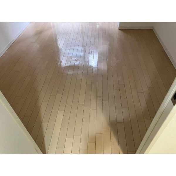 ジュネーゼグラン本町East 室内写真2