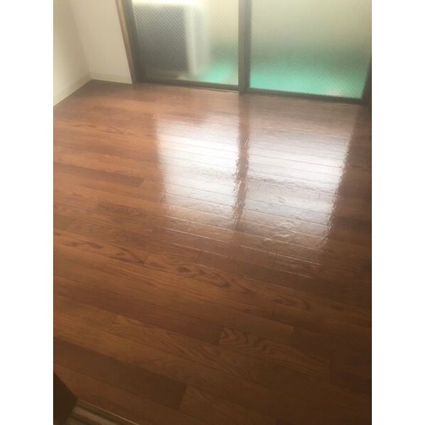 サンスリーハイツ豊新 室内写真5