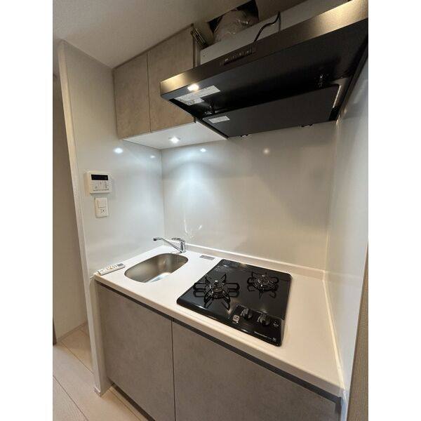 S-RESIDENCE岡崎公園aureate 室内写真3