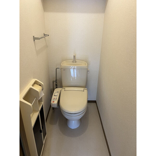 臨江ハイツ2号館C 室内写真5
