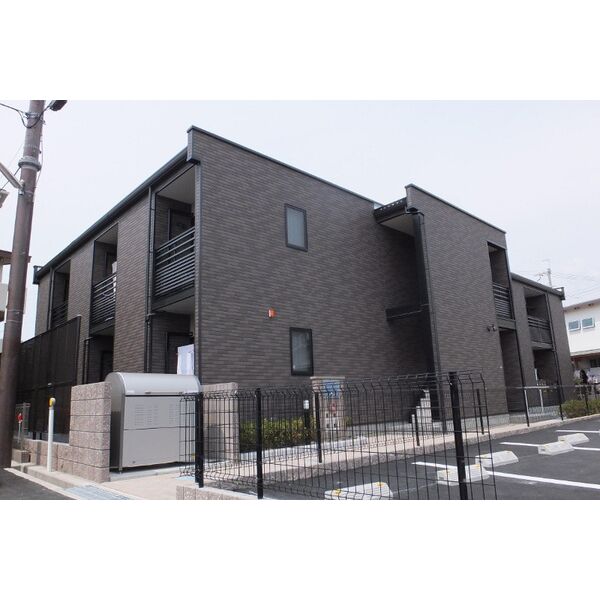 レオネクストファレノプシス上野
