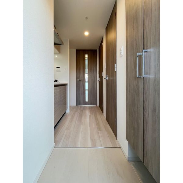 S-RESIDENCE難波大国町domina 室内写真9