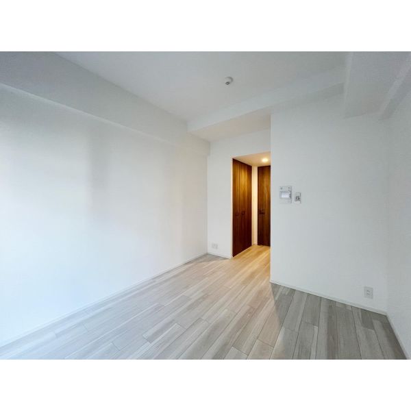 S-RESIDENCE難波大国町domina 室内写真2
