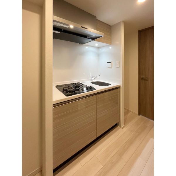 S-RESIDENCE難波大国町domina 室内写真3