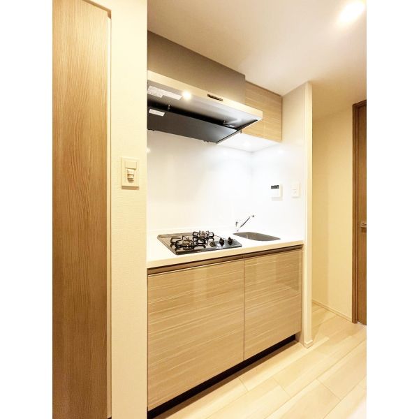 S-RESIDENCE難波大国町domina 室内写真3