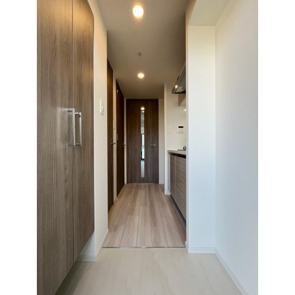 S-RESIDENCE難波大国町domina 室内写真9