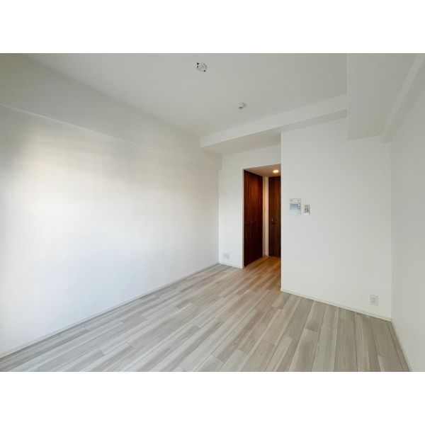 S-RESIDENCE難波大国町domina 室内写真2