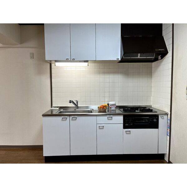 エステートEX白鳥マンション 室内写真2