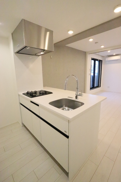 Ｒｅｖｅ Ｒｅｓｉｄｅｎｃｅ 武蔵小山Ⅱ 室内写真3