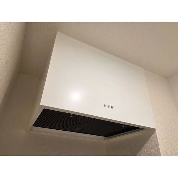 Sun Plus　1 110(ミニマム物件)号室 室内写真9